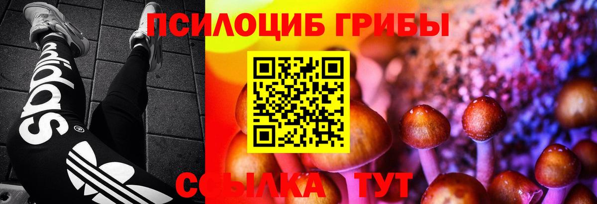 Костомукша  Галлюциногенные грибы ЛСД  Вход с VPN 
